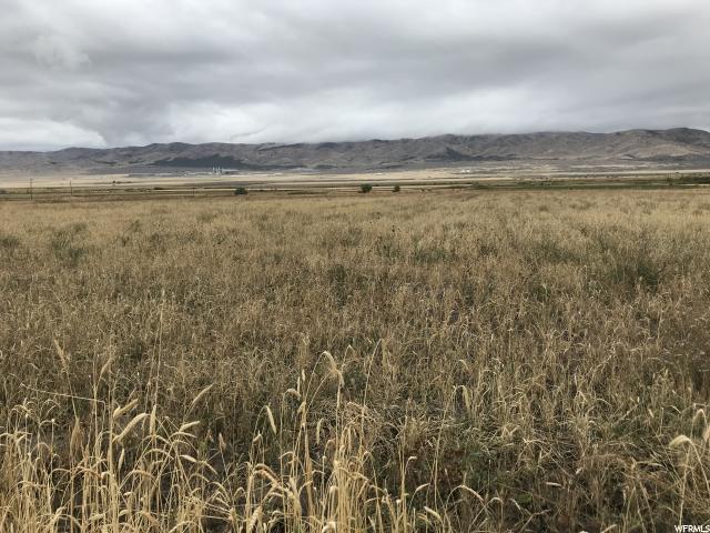 1260 Old Hwy 91 - Photo 1