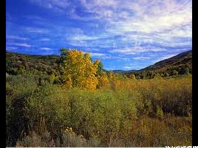 5673 Pioneer Fork Rd - Photo 1