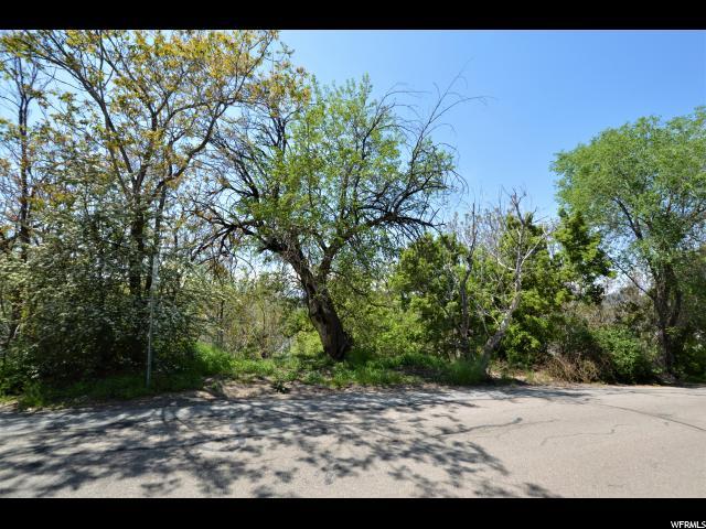 3716 Forest Hills Dr - Photo 1