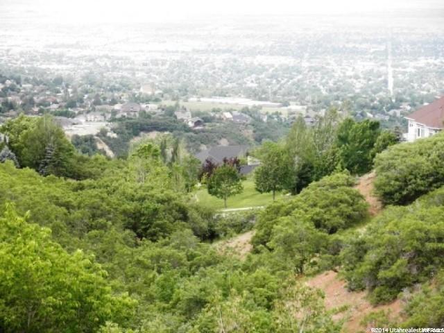 1868 Stone Hollow Dr - Photo 1