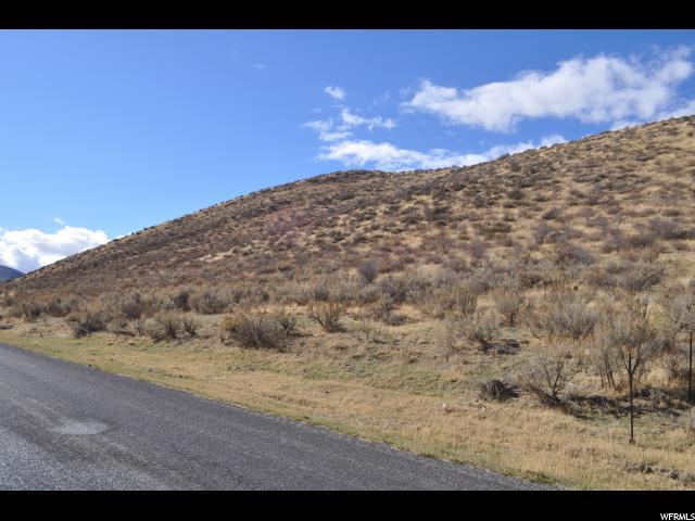 Pocatello Valley Rd - Photo 1