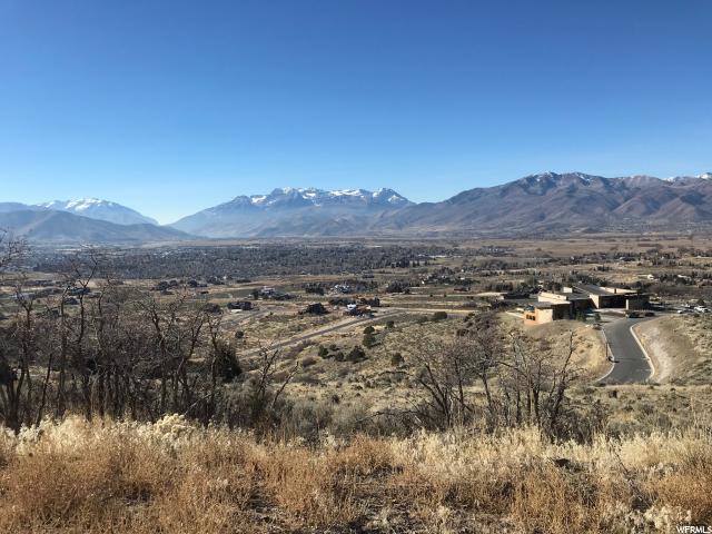 1417 Gold Mountain Cir (Lot 467) - Photo 1