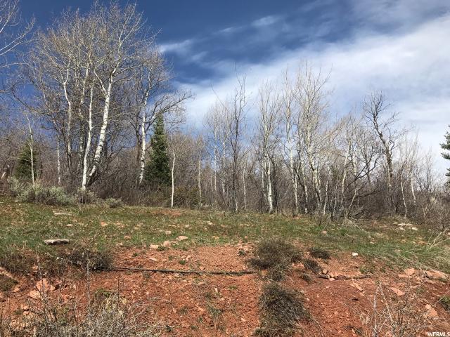 7091 Stagecoach Dr - Photo 1