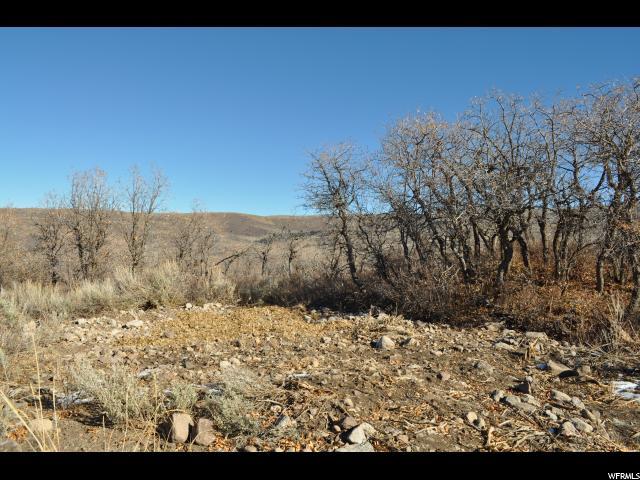 2771 Timber Lakes Dr - Photo 1