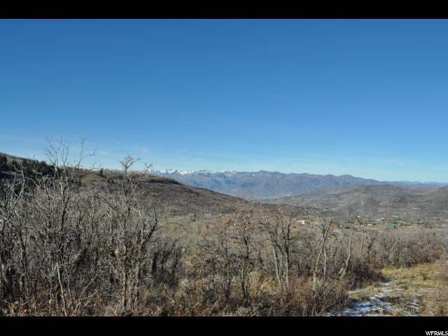 2807 Timber Lakes Dr - Photo 1