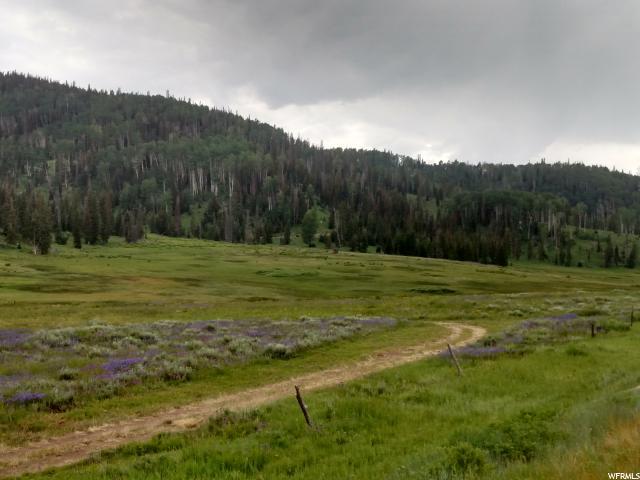 16000 Highway 264 - Photo 1