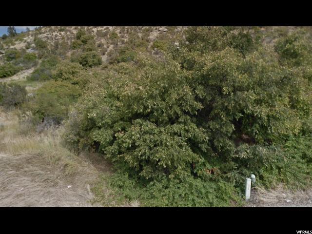4454 Mile High Dr - Photo 1
