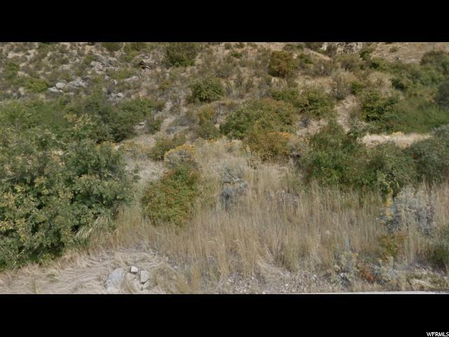 4436 Mile High Dr - Photo 1