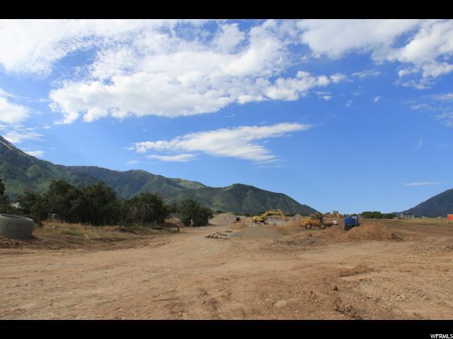 1247 Red Bud - Photo 1