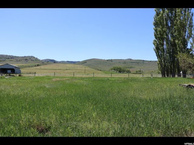 1659 Bearlake Blvd - Photo 1