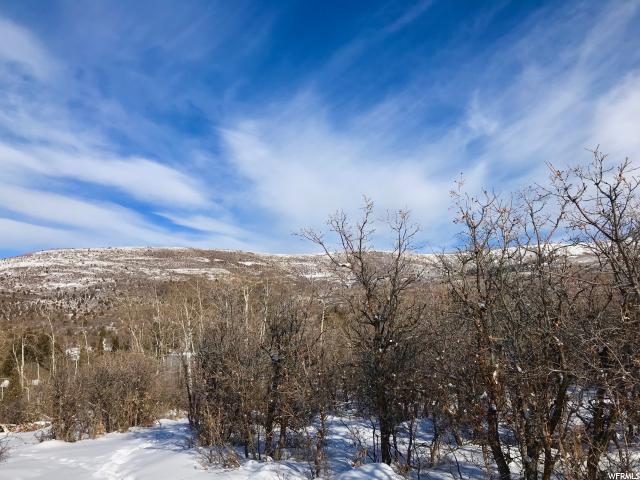 9742 Ridge Pine Rd - Photo 1