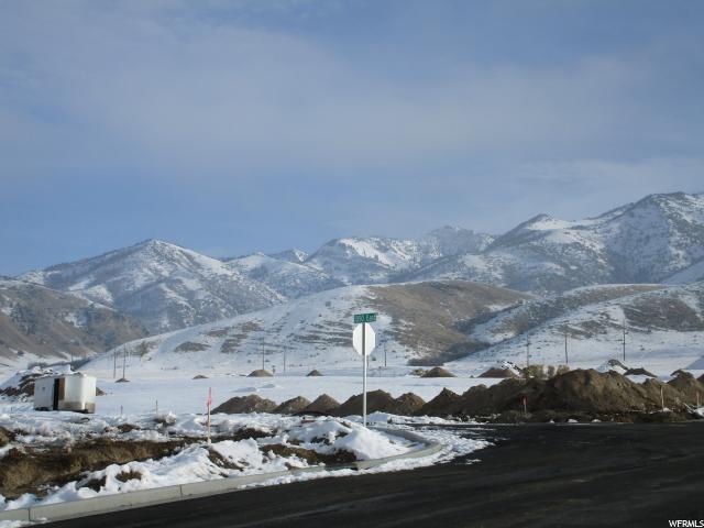 118 Pinion Pl - Photo 1