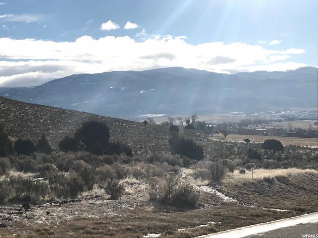 390 Ibapah Peak Drive (Lot 162) - Photo 1