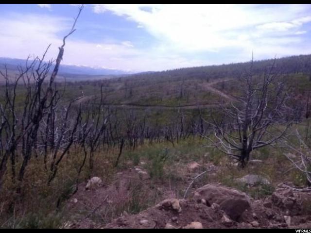 11 Indian Ridge - Photo 1