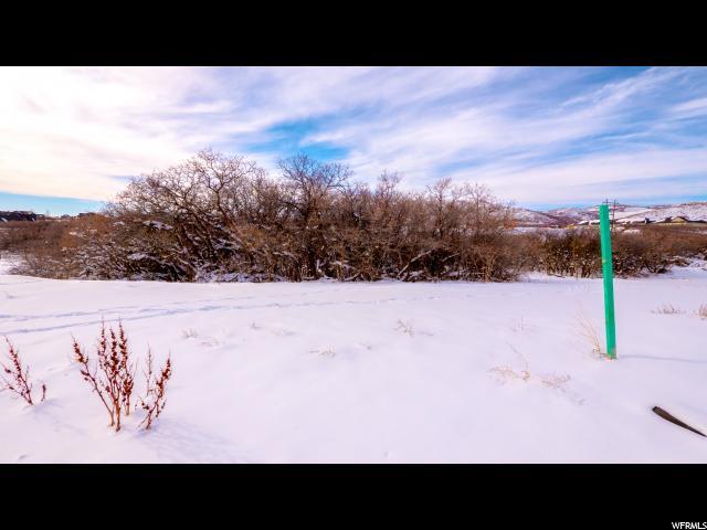 11879 Saltaire Dr - Photo 1
