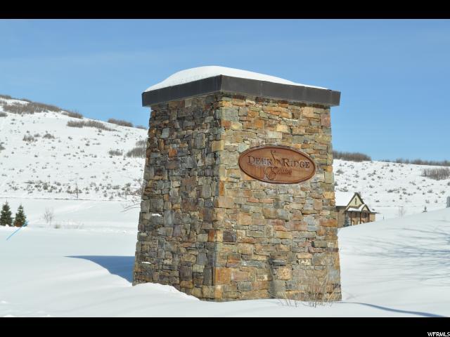 310 Deer Ridge Dr - Photo 1
