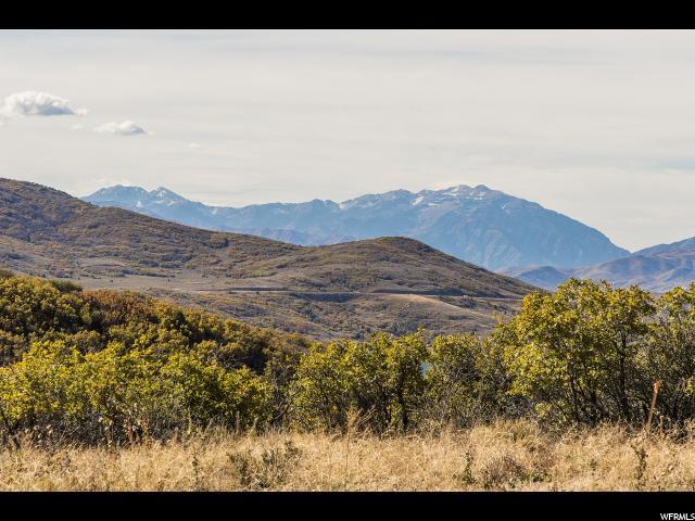 1385 Lasso Trl - Photo 1