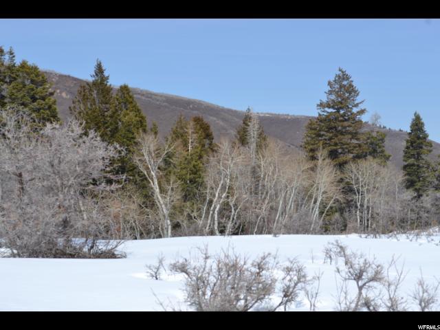 2227 Porcupine Cir - Photo 1
