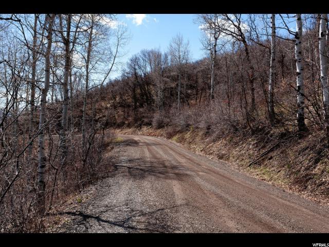 10023 Basin Canyon Rd - Photo 1