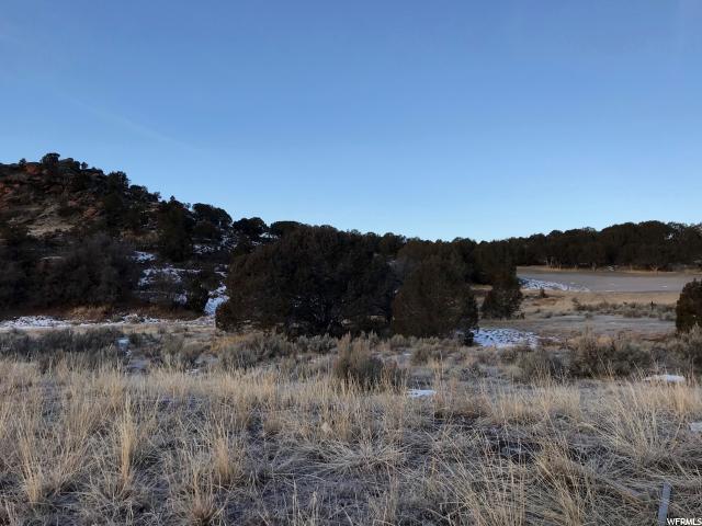 531 Red Mountain Ct (Lot 214) - Photo 1