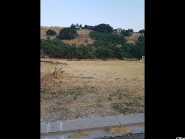 319 Loafer Canyon Rd - Photo 1
