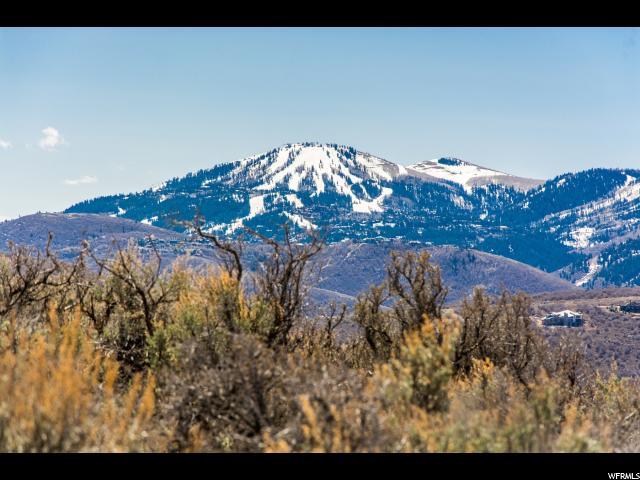 5680 Aidan Ct - Photo 1