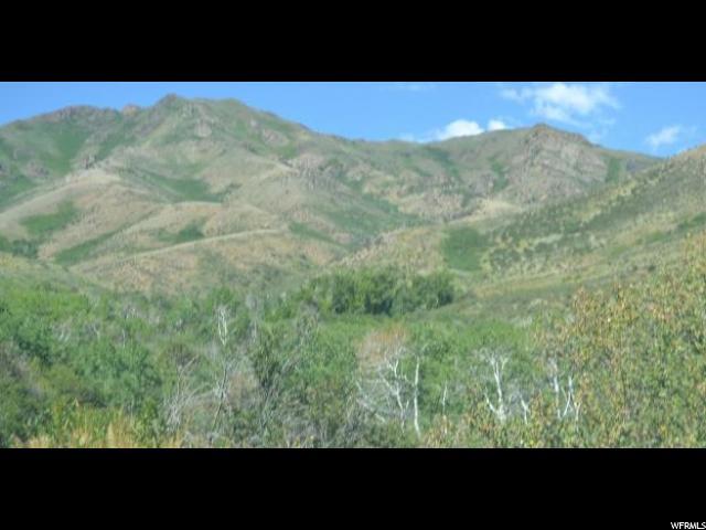 1 Harker Canyon / Sunday Mine Rd - Photo 1