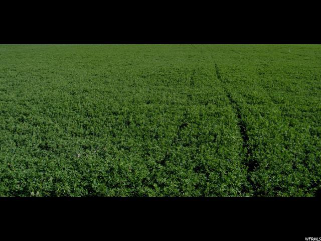 5500 Hwy 257 - Photo 1
