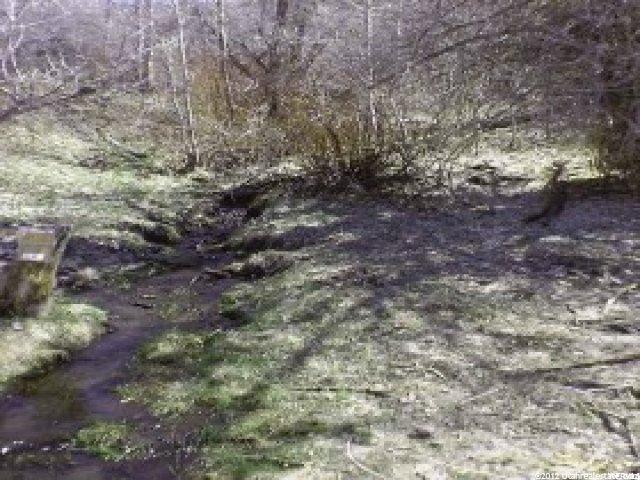 1755 Beaver Bench Rd - Photo 1