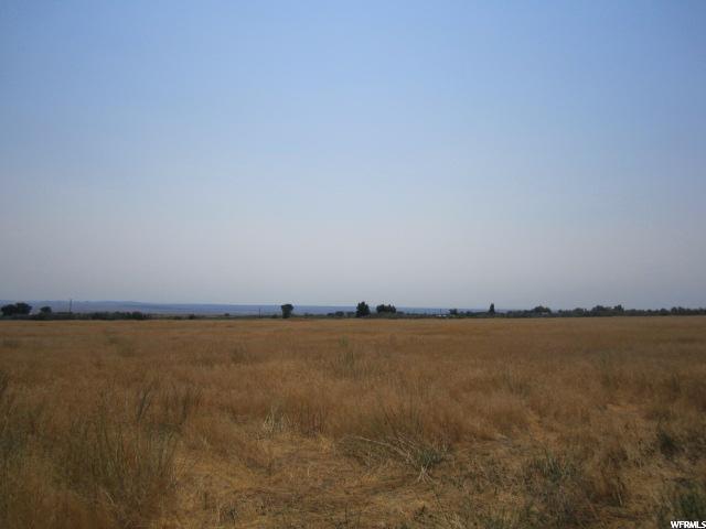 1296 5000 - Photo 1