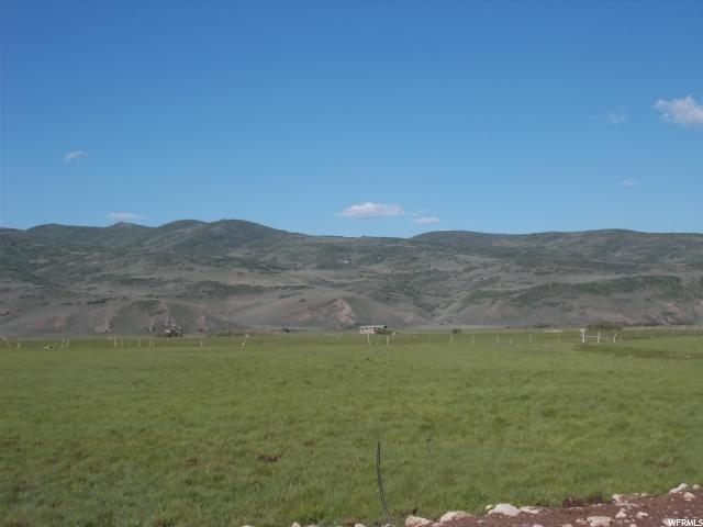 3155 Democrat Aly - Photo 1