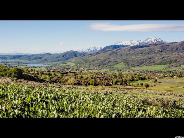 4468 Seven Bridges Rd Lot 21 - Photo 1