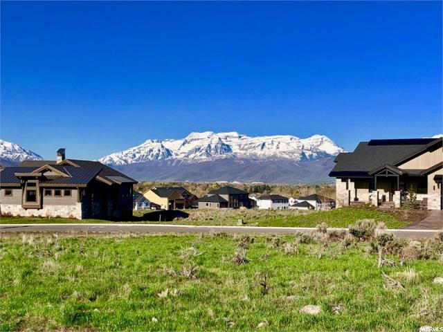 642 Haystack Mountain Dr (Lot 338) - Photo 1
