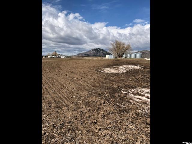 2780 Blackfoot River Rd - Photo 1
