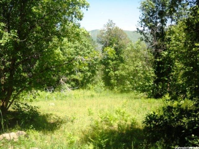 78 Oak Wood Dr - Photo 1