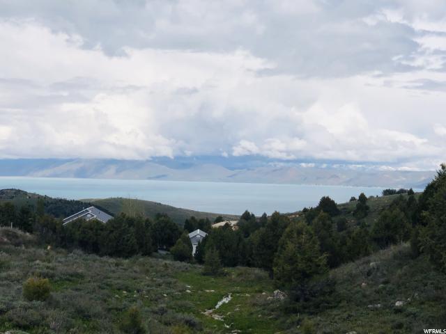 775 Juniper - Photo 1