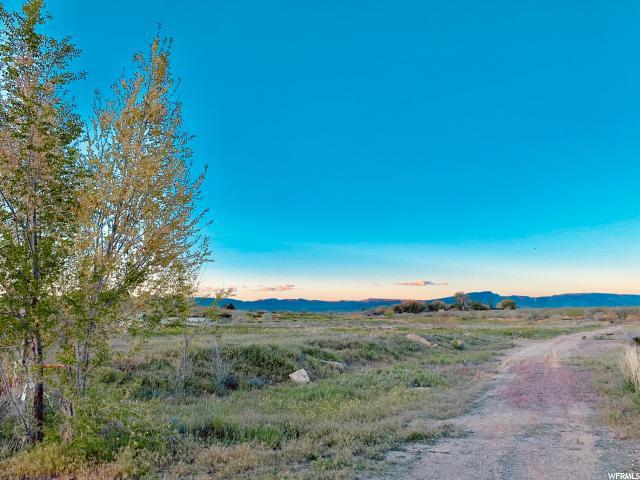 54 2000 - Photo 1