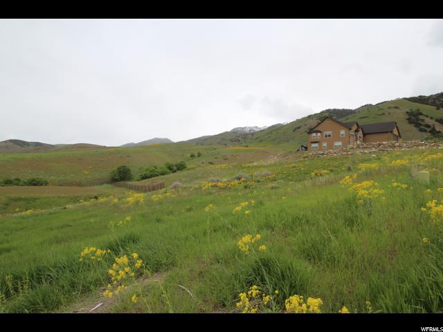2295 Meadow Lark Ln - Photo 1