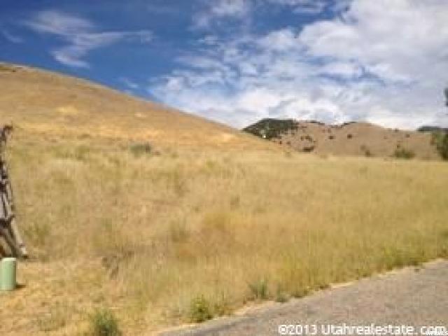 460 Greystone Loop - Photo 1