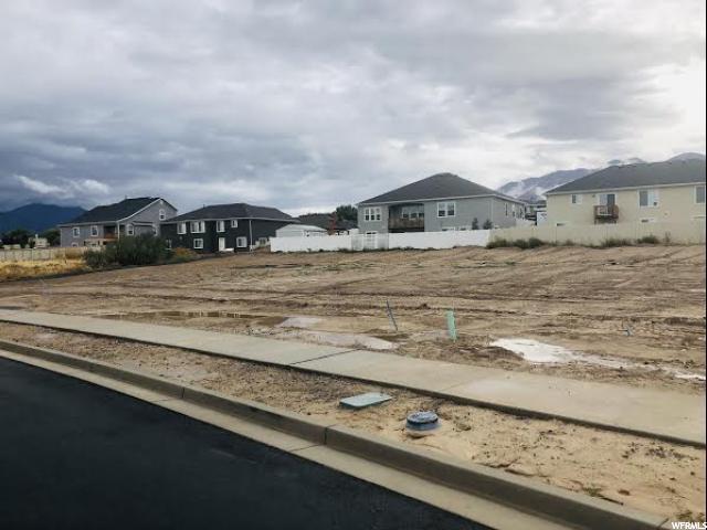 1728 Sparrow Way - Photo 1