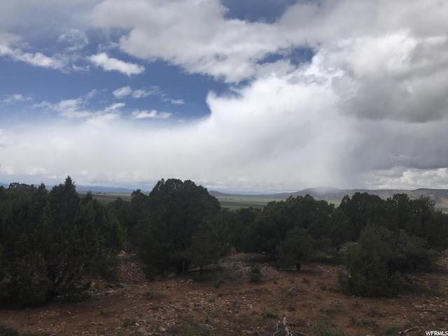 1624 Red Canyon Rd - Photo 1