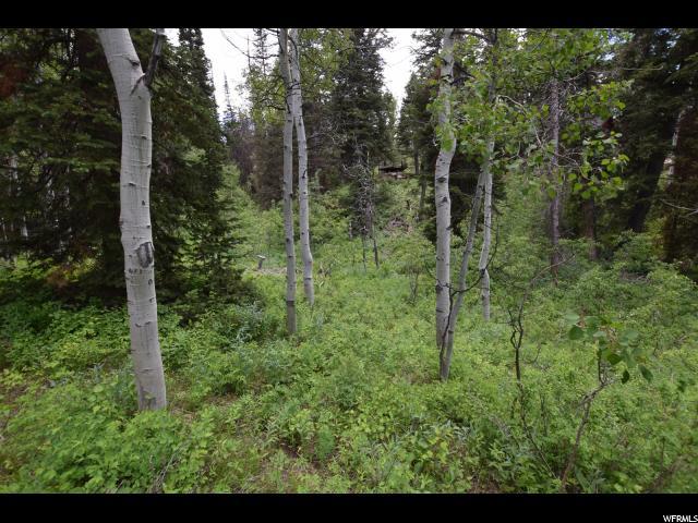 11417 Aspen Rd - Photo 1