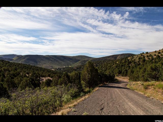 15147 Shaggy Mountain Rd - Photo 1