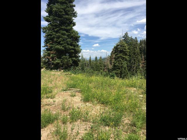 229 Parkview Dr - Photo 1