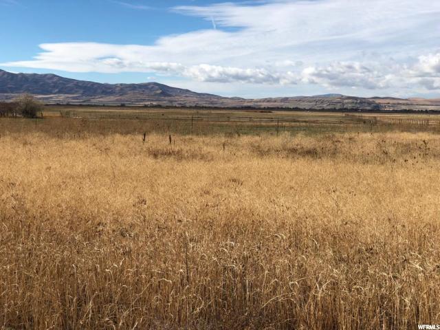 3465 Hwy 91 - Photo 1