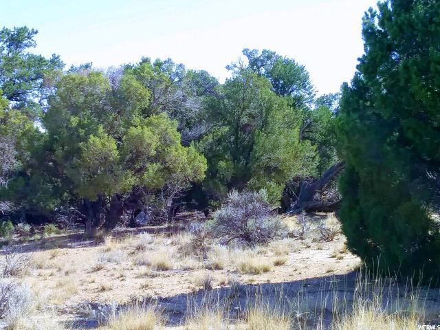 3 6 - Photo 1