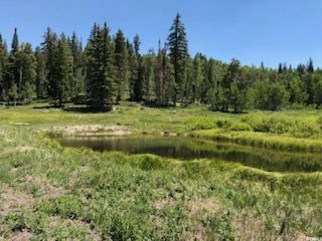9 Uinta Pines Dr - Photo 1