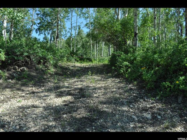 10622 Cottonwood Ln - Photo 1