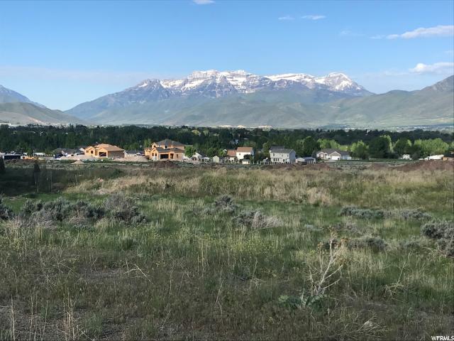 645 Haystack Mountain Dr (Lot 294) - Photo 1