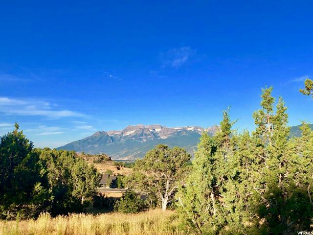 672 Bald Mountain Cir (Lot 271) - Photo 1